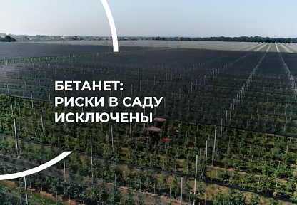 Противоградовая сетка Бетанет: риски в саду исключены